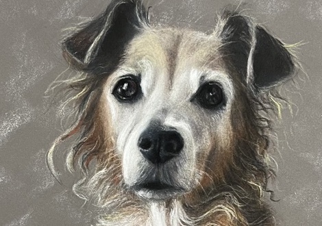 Free HTML5 Website Template by FreeHTML5.co