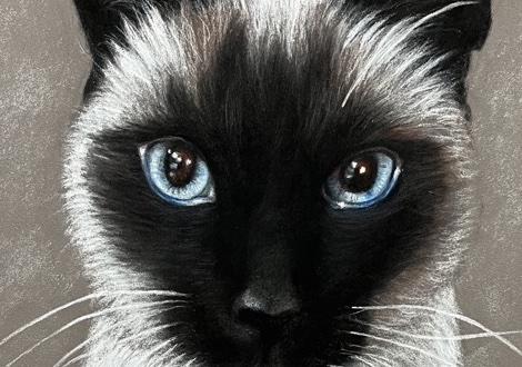 Free HTML5 Website Template by FreeHTML5.co